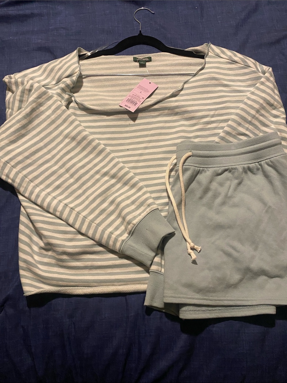 wild fable Light Sage Striped Teddy Pullover Hoodie Set